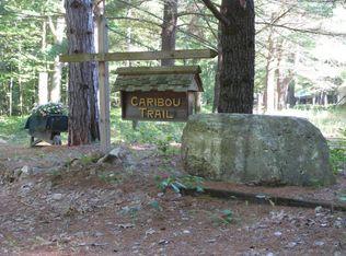 11355 N Caribou Trl, Irons, MI
