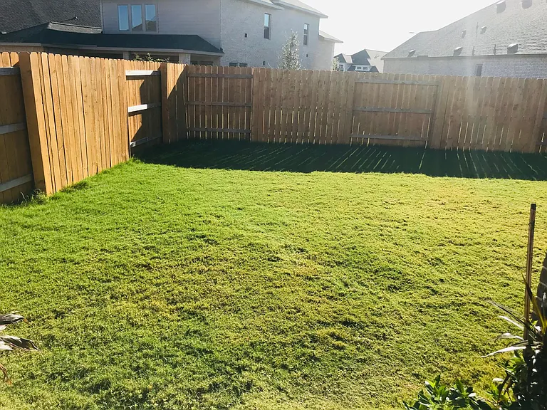 Backyard from patio