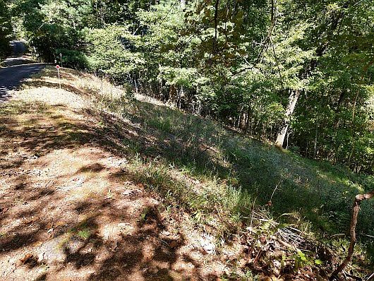 2nd image of 0 Chestnut Hill Dr