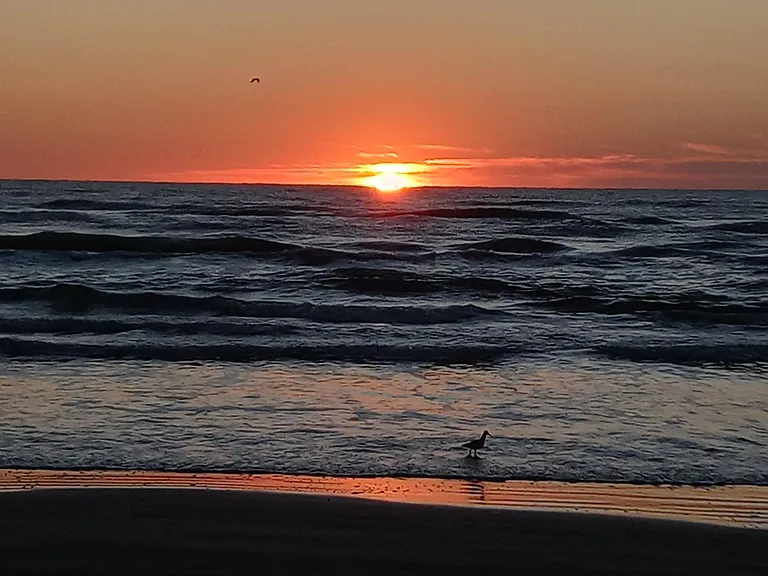 Beach Sunrise