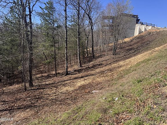 4th image of 100 Laurel Cove Trl Lot 100