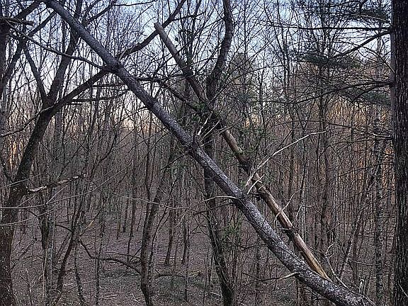 5th image of 0 Greasy Creek Rd