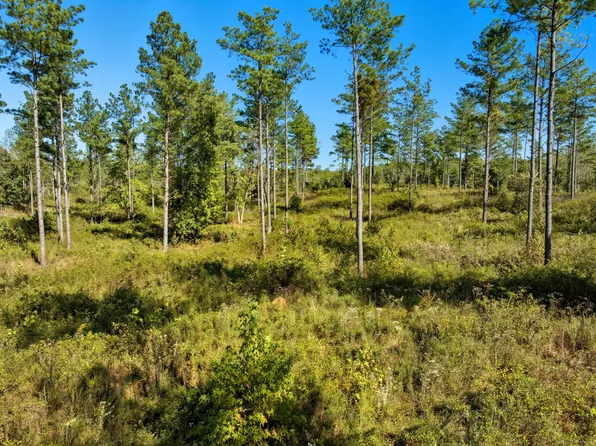 0 Saddleback Dr Lot 2, Dover, TN 37058