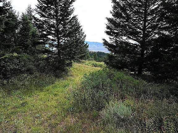 2nd image of 334 High Pine Ridge Rd