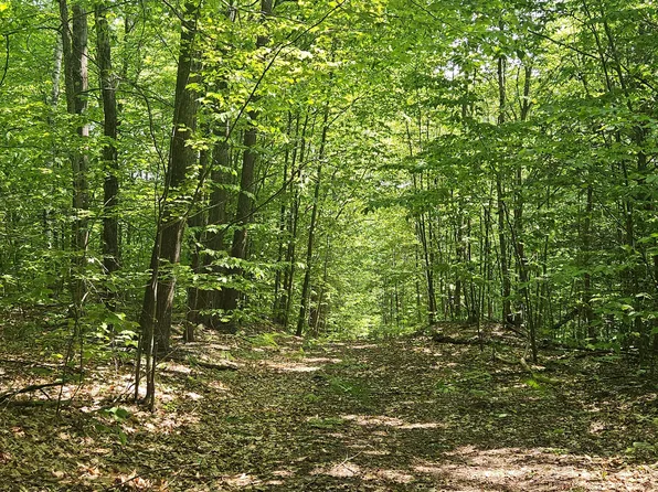 Lot 023-A Oak Hill Road, Temple, ME 04984