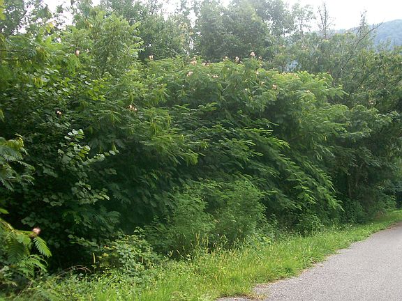 4th image of Ridgeview Cir