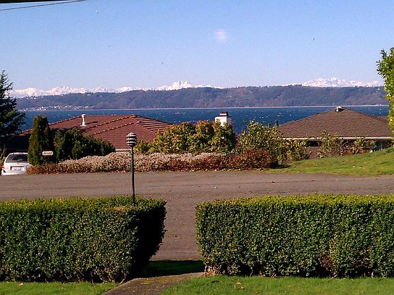 View from living room