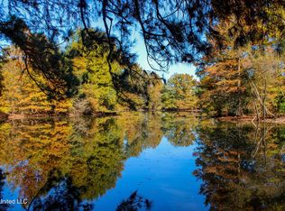 636 Livingston Vernon Rd, Flora, MS 39071