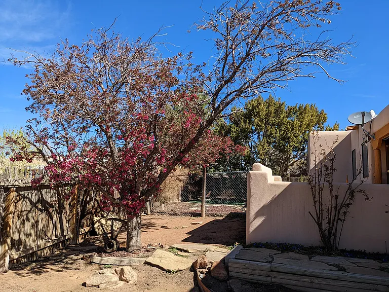 2904 Vista Bonita — Photo 41