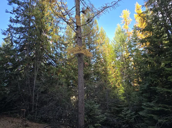 20XX Summit Valley Rd, Addy, WA 99101