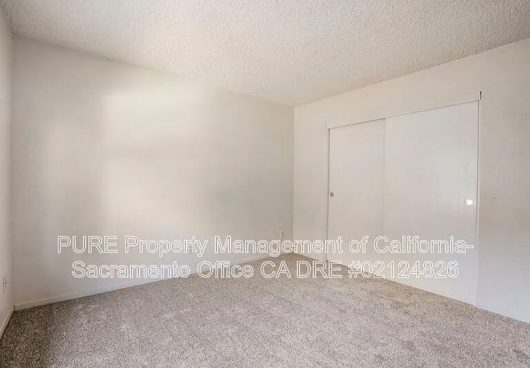 317 U St #2 — Photo 15