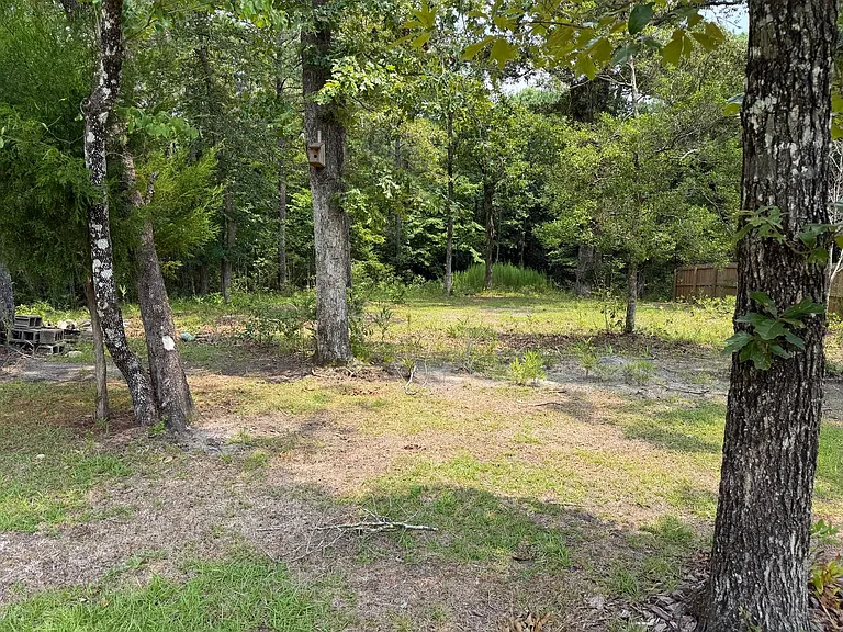 315 Neuse Dr — Photo 54
