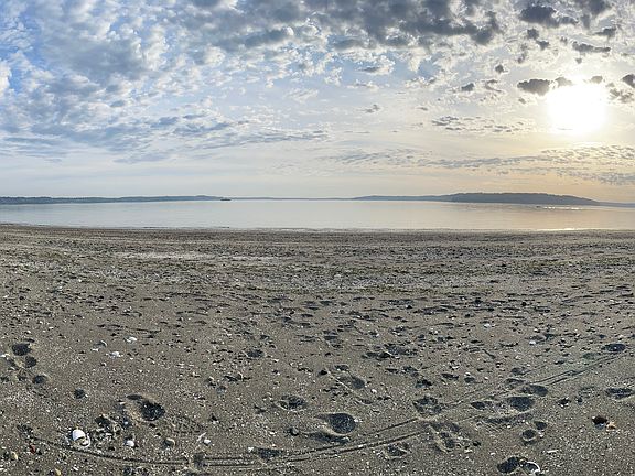 Not your typical PNW beach! This beach is full of life with clams, sand dollar breeding grounds, lots of crabs, oysters, sea cucumbers, and so much more! Residents paddle board, kayak, and fish all year round. You can hear the seals from your balcony.