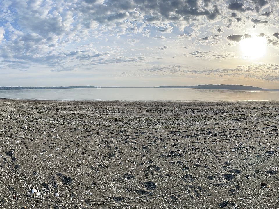 Not your typical PNW beach! This beach is full of life with clams, sand dollar breeding grounds, lots of crabs, oysters, sea cucumbers, and so much more! Residents paddle board, kayak, and fish all year round. You can hear the seals from your balcony.