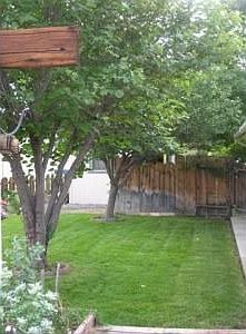 Front Yard