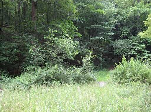 2nd image of Woodcrest Rd