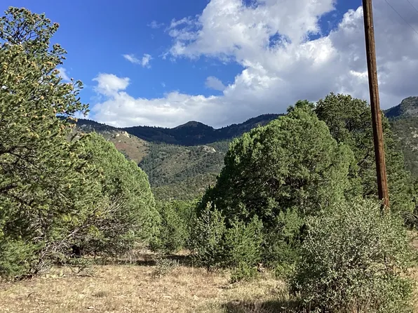 Lower Patterson Cyn, Magdalena, NM 87825