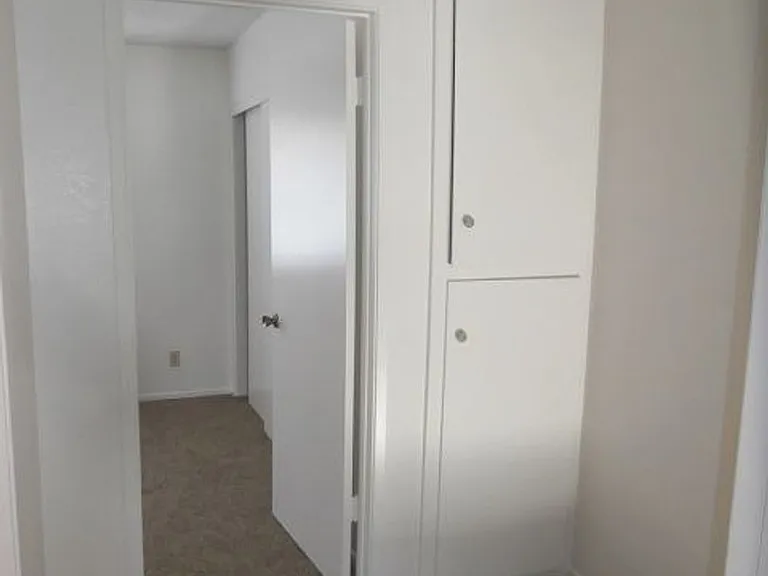 251 Mathilda Dr — Photo 19