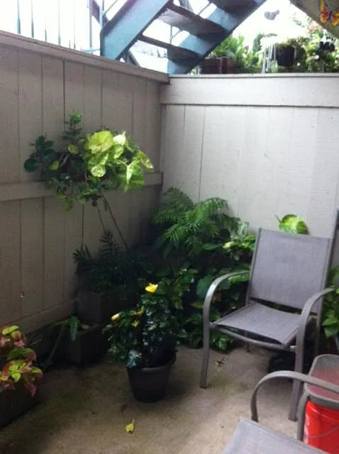Porch - 845 Augusta Dr #31