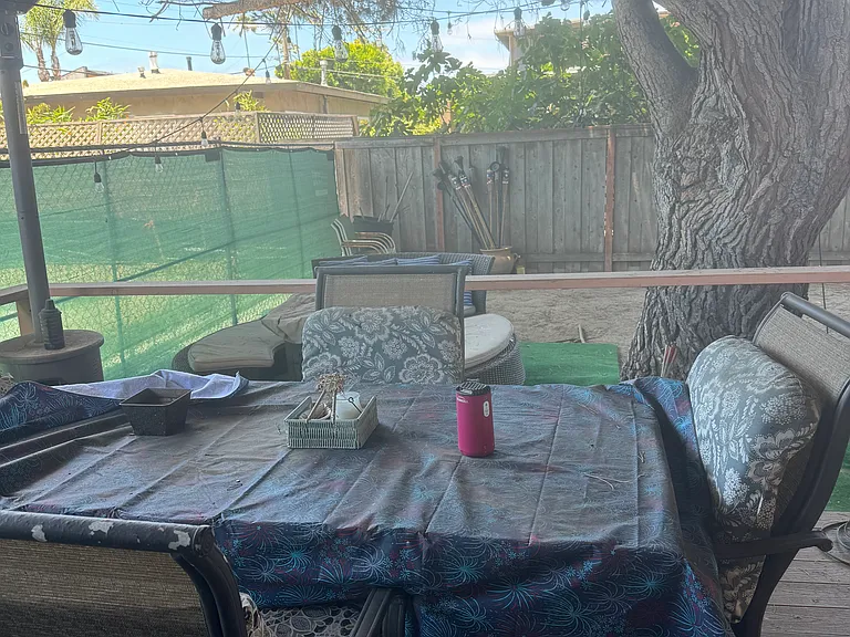Outdoor backyard