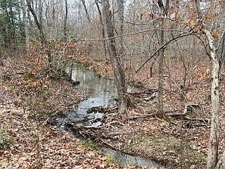 3rd image of 12 Tellico Trl #12