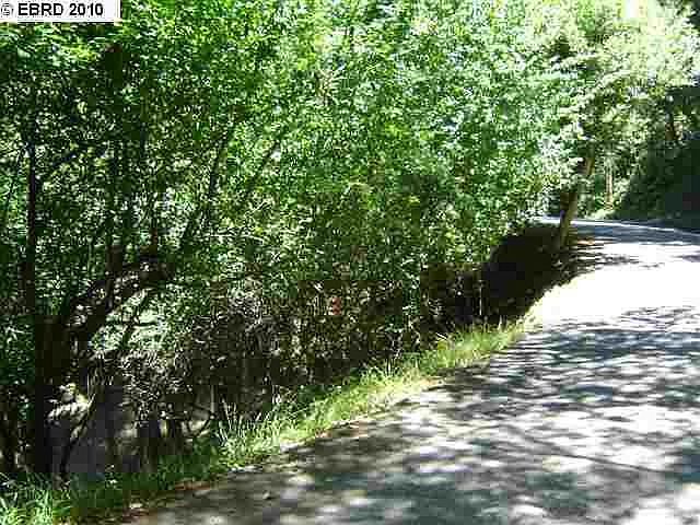 2nd image of 6399 Girvin Dr