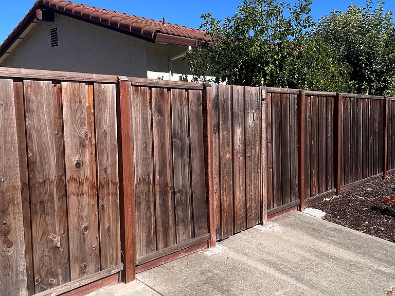 944 Erica Dr — Photo 12