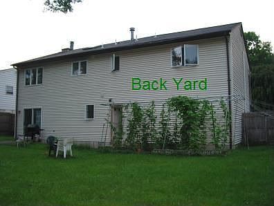 House Back Yard