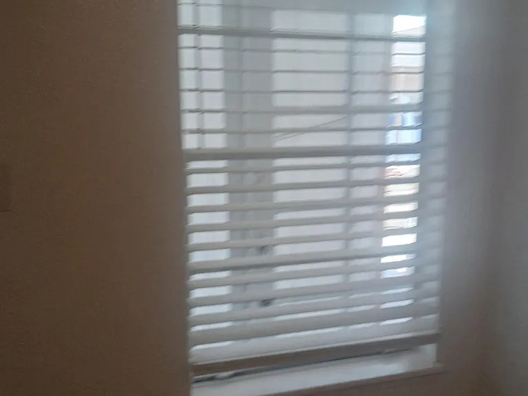 6057 Morning Glory Cir — Photo 13