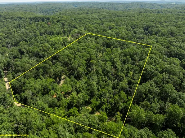 Tbd Grannys Branch Rd, Pineville, MO 64856