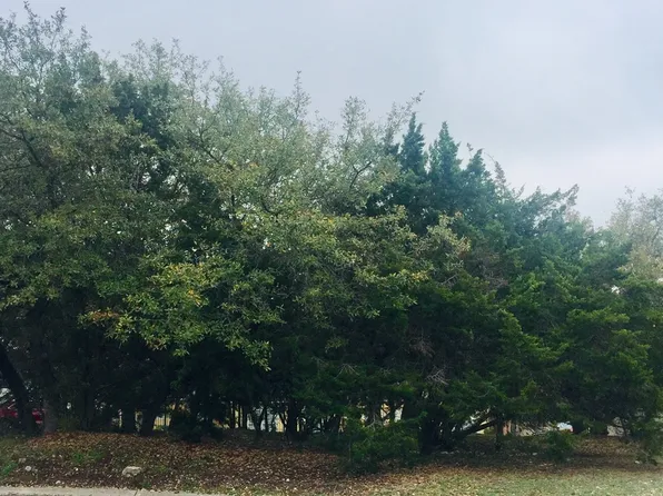 22 WINTHROP DOWNS LOT 51, San Antonio, TX 78257