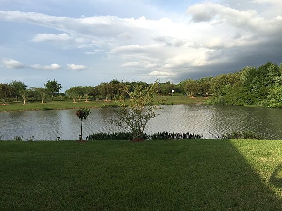Backyard view