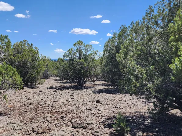 214 N Robles Rd, Ash Fork, AZ 86320