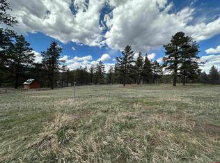 127 Ute Ln, Pagosa Springs, CO 81147