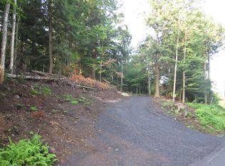 0 Petrie Rd, Old Forge, NY 13420