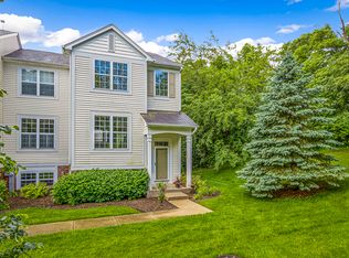 311 Terra Springs Cir, Volo, IL 60020