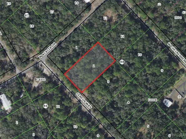 9217 N Cereus Way, Crystal River, FL 34428
