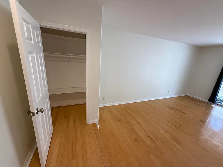 downstairs coat closet
