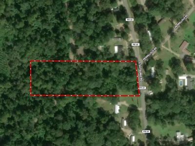 26349 S Satsuma Rd, Livingston, LA, 70754