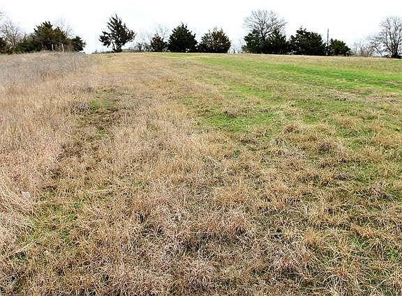 3rd image of 795 Cameron Hill Dr