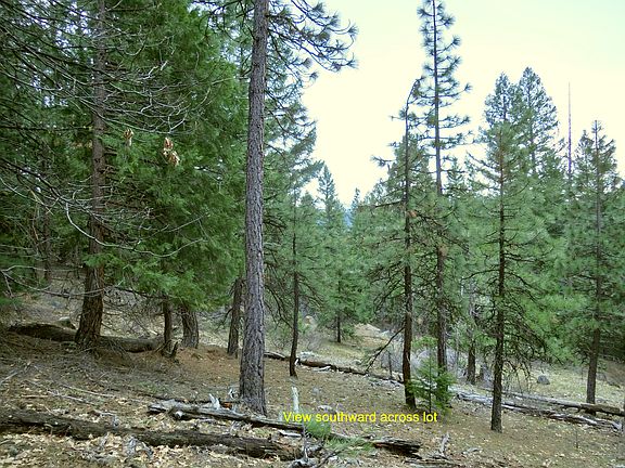 3rd image of 2701 Meadow View Ln