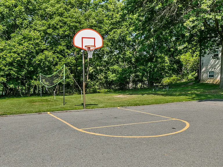Half Court Basketball