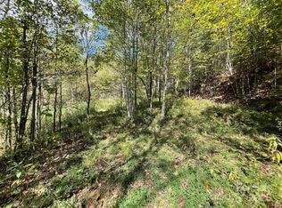 0 Poplar Holler Rd, Waynesville, NC 28786
