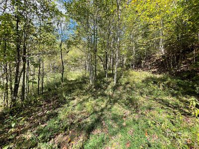 0 Poplar Holler Rd, Waynesville, NC, 28786