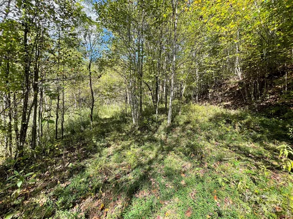 0 Poplar Holler Rd, Waynesville, NC 28786