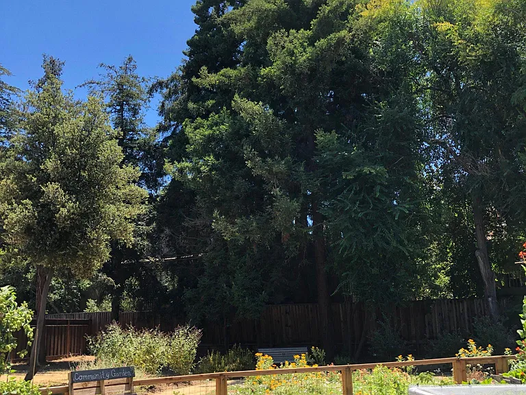 Community Garden next to the complex