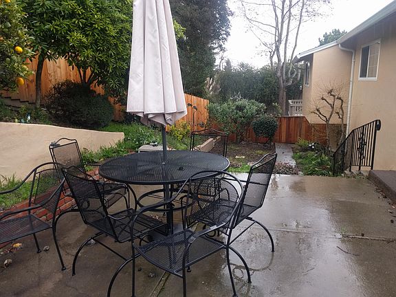 Enclosed yard new fence