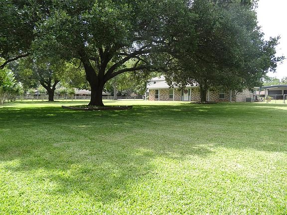 GREAT BIG TREES