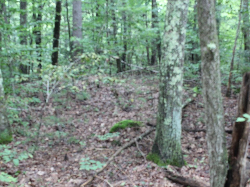 2nd image of 0 Burnshirt Rd