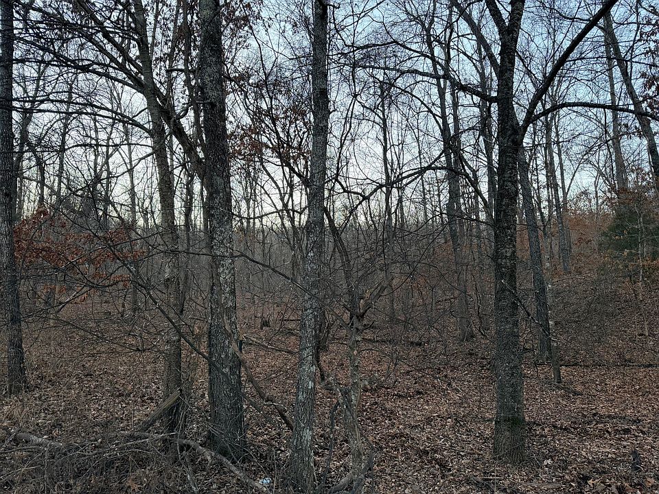 2nd image of 000 County Road 204